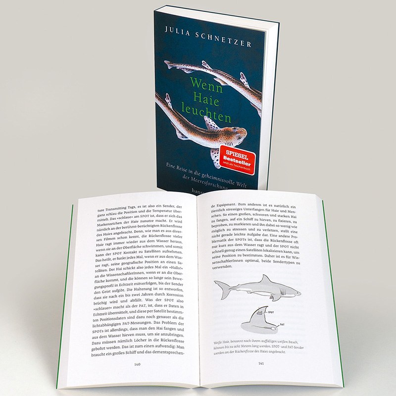 Buchcover: Wenn Haie leuchten von Julia Schnetzer